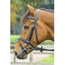 Busse Hoofdstel Allround