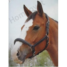 Lederen paardenhalster