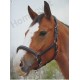 Lederen paardenhalster